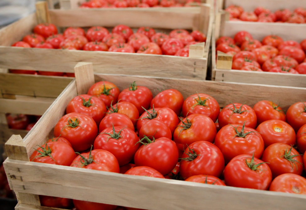 Armenia to approve new producer support program – Papoyan