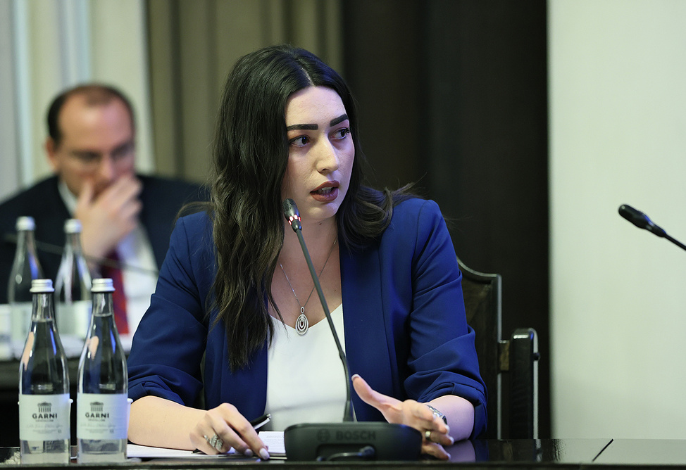 Глава МВД Армении предложила разрешить пересдавать на водительские права на следующий день за 45 тысяч драмов