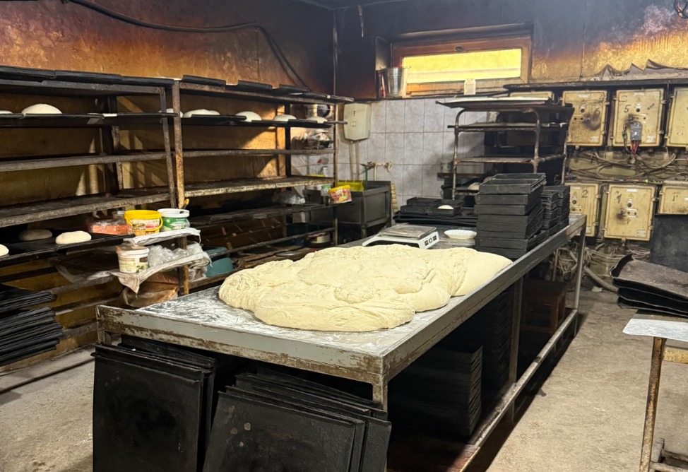 Հացի արտադրամասի գործունեություն է կասեցվել սանիտարահիգիենիկ պայմանների կոպիտ խախտումների պատճառով (ՖՈՏՈ)