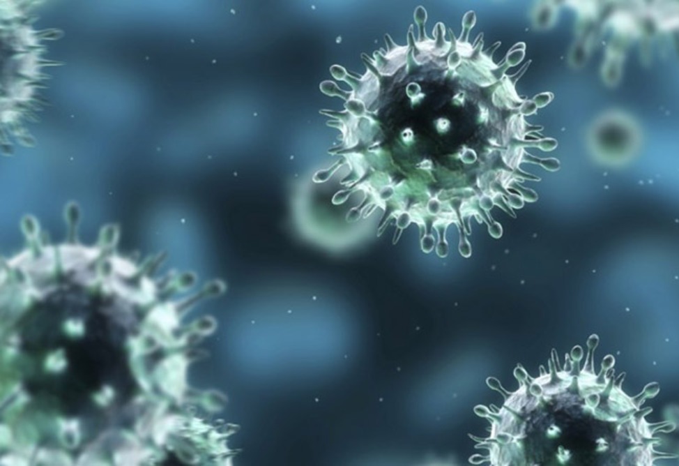  The situation with ARVI in Armenia is improving – Minister