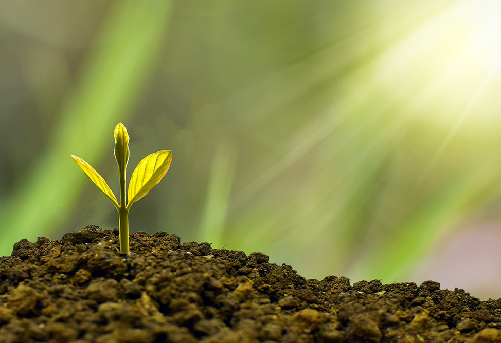 Экономическая активность в Армении за первый квартал выросла на 4,1%