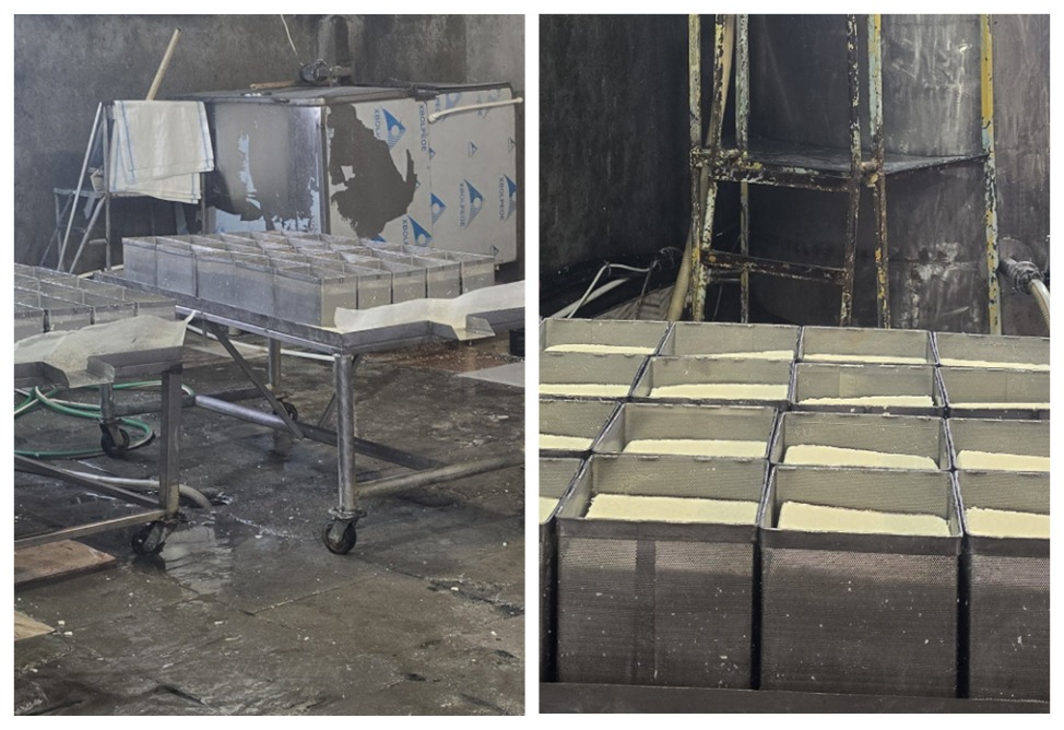 Work at dairy plant suspended in Armavir, due to gross violations of sanitary standards – regulator