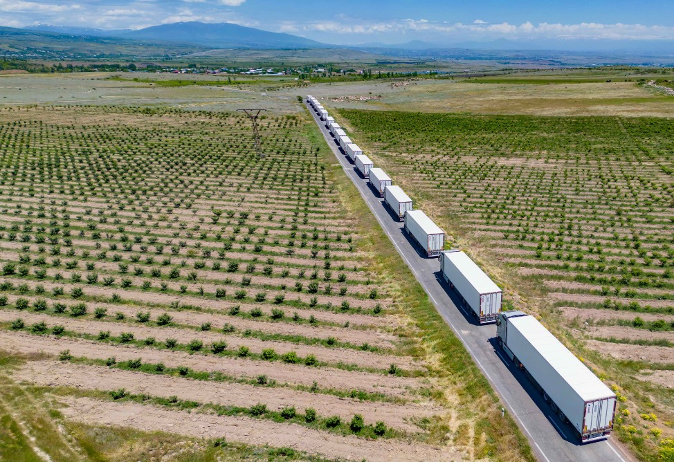Armenian tomatoes will be exported to Europe