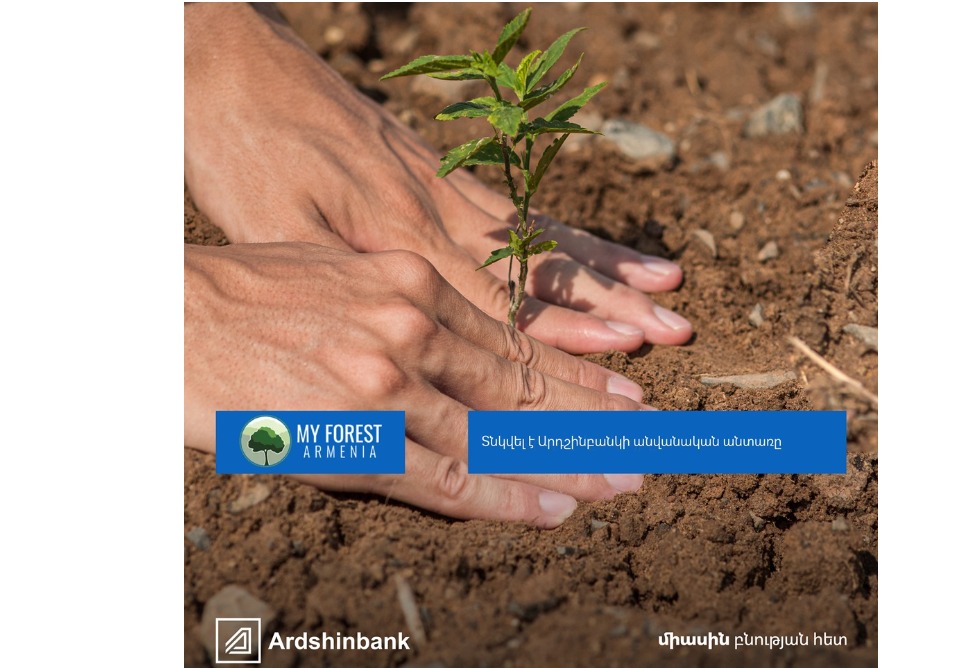 Посажен именной лес Ардшинбанка