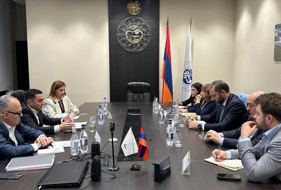 ENA interim manager says company's owner had not approved $690 million in loan guarantees with regulator