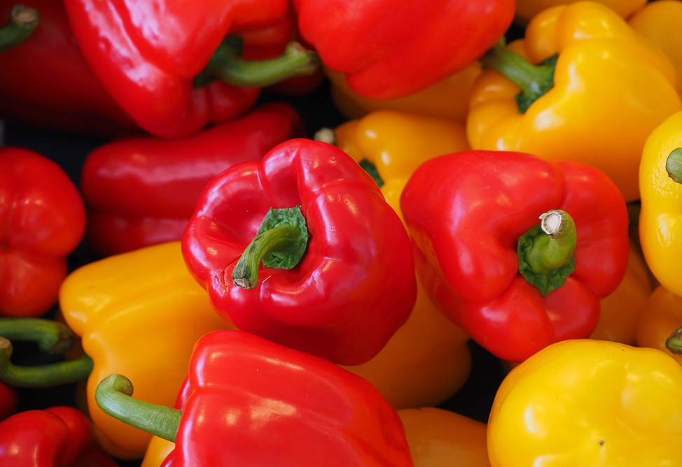 Папоян: армянская агропродукция по качеству не уступает европейской 