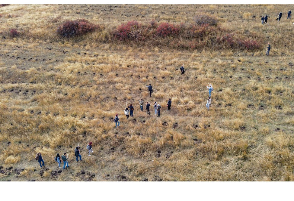 Акба банк принял участие в акции по посадке деревьев в Армении (ВИДЕО)