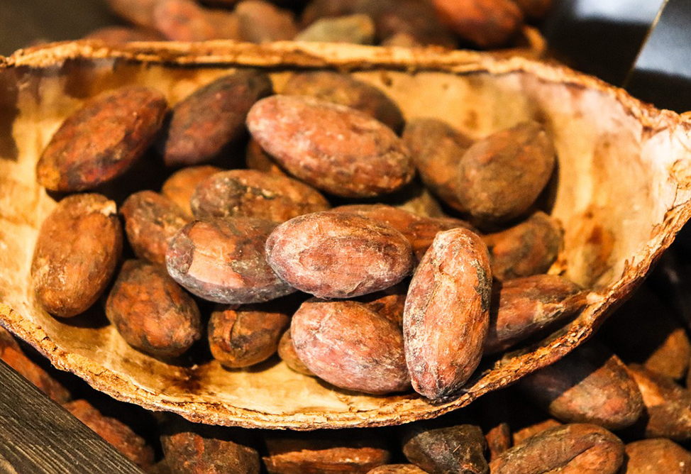 Какао-бобы подешевели на 4,1%, достигнув минимума с февраля 2024 г.