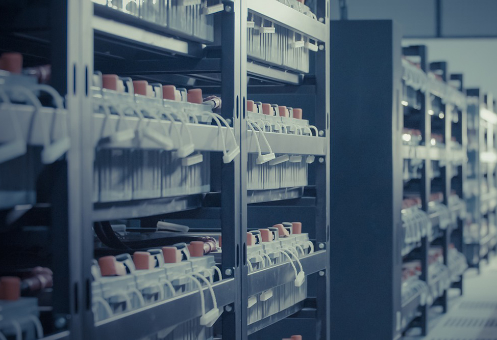 Ереван предложил Дели наладить в Армении производство аккумуляторов