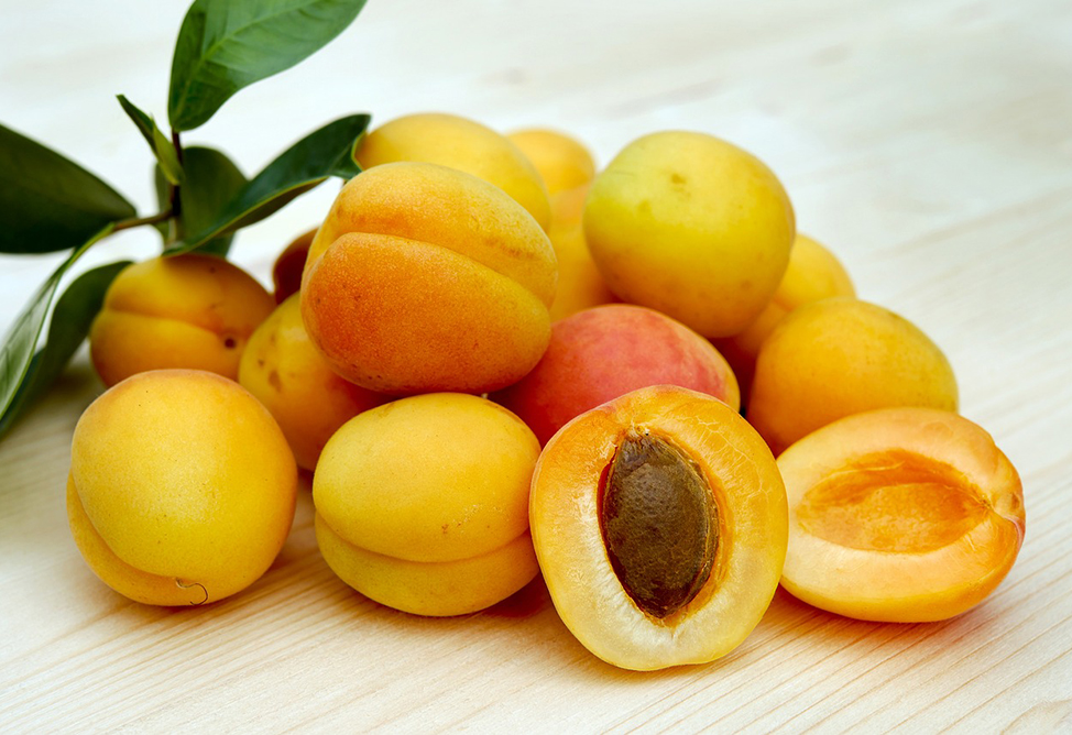 Почти 900 фур с абрикосами из Армении в июне пересекли границу с Россией - Папоян