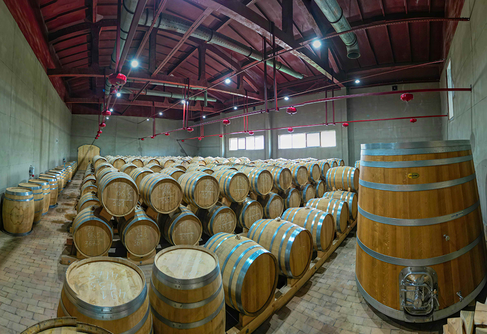 Стартовало производство новых премиальных армянских напитков (ВИДЕО)