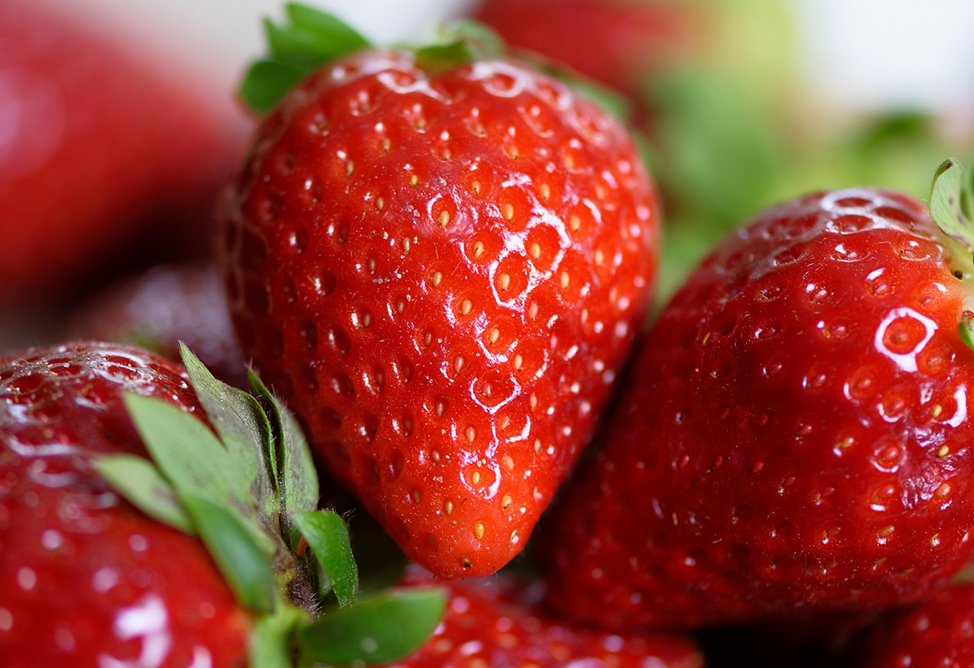 В Армении инвестируется 961 млн. драмов в теплицу для выращивания клубники