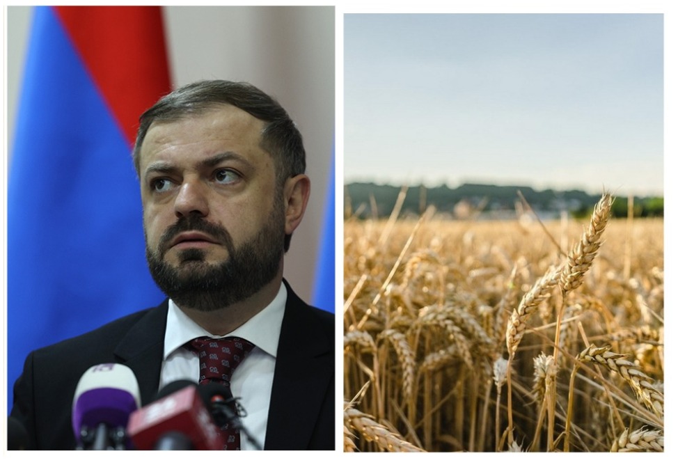 Եղել է 3-րդ կարգի ցորեն, բոլորս էլ այդ հացը կերել ենք․ Պապոյան