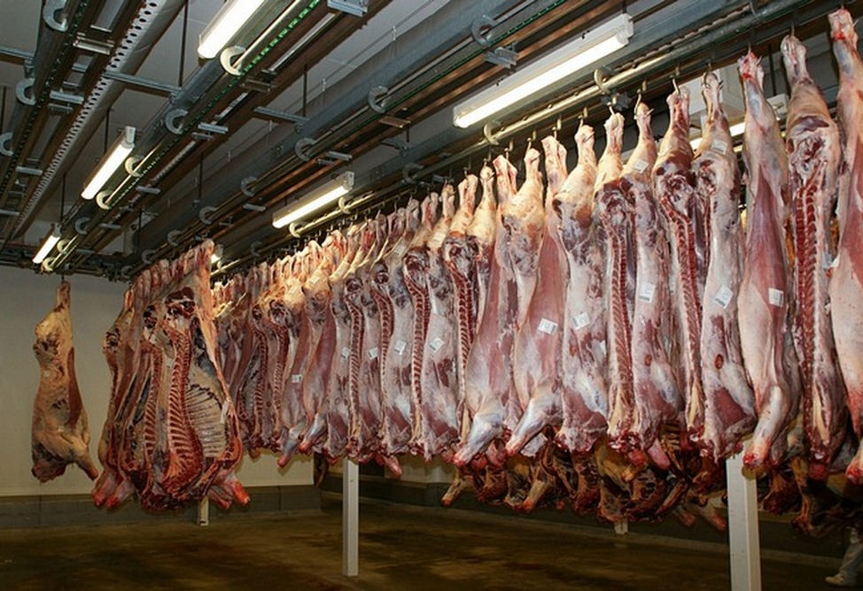 Salmonella and mold: violations found in products of three Yerevan meat processing plants Salmonella and mold: violations found in products of three Yerevan meat processing plants