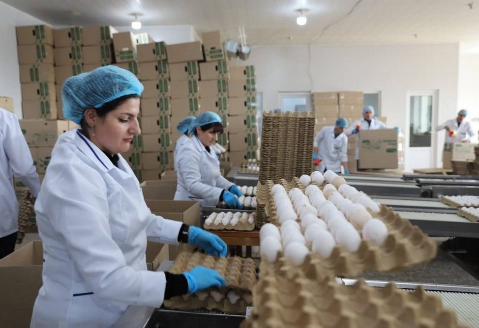 Large poultry farm in Armenia to expand production and create 2,500 jobs: $250 million investment
