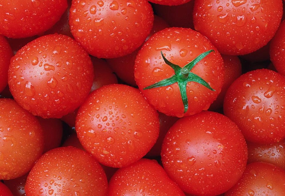 Լոլիկի բերքը Հայաստանում 2013 թ.–ին նվազել է մոտ 5 հազար տոննայով` մինչև շուրջ 260 հազար տոննա. գյուղնախարարություն