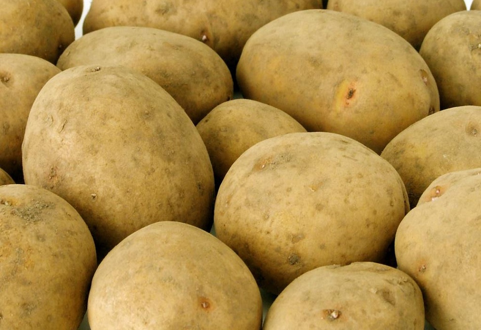 Дороговизна картофеля в Армении обусловлена уменьшением посевных площадей – эксперт