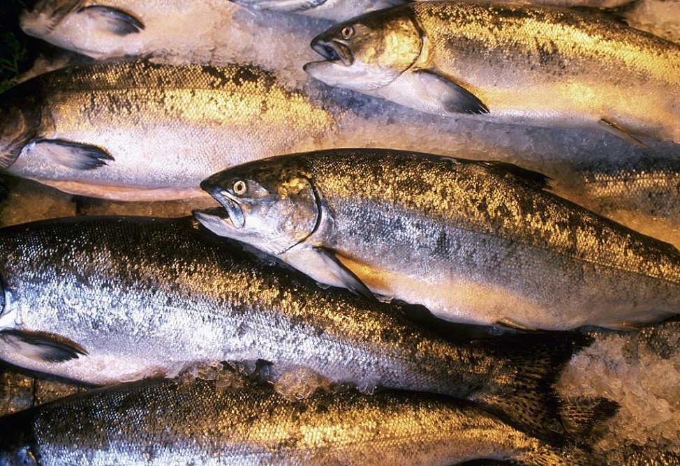 В России взлетели цены на красную икру