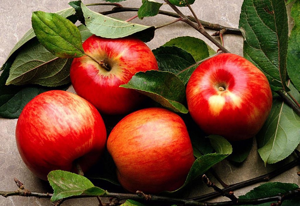 Երևանում բացվել է գյուղմթերքի հերթական տոնավաճառը