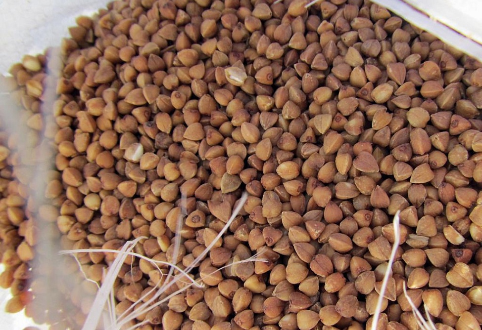 Հայաստանում հնդկաձավարի  գների աճը պայմանավորված չէ արտարժույթի տատանումներով. ՏՄՊՊՀ