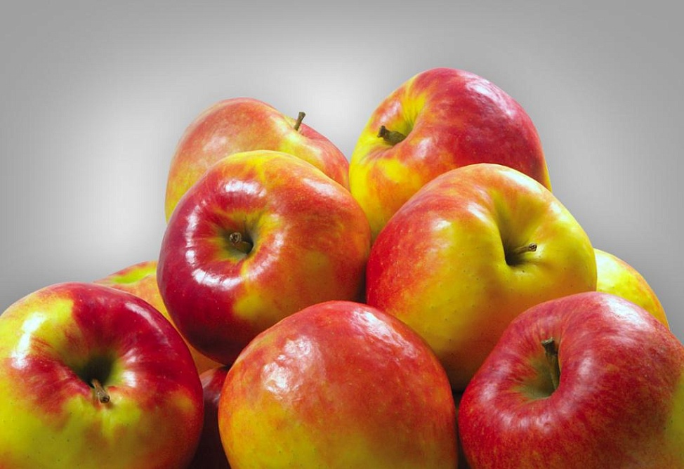 Իրանի Կոհգիլույե և Բոյերահմեդ գավառներից 2013 թ.–ին ավելի քան 17 տոննա խնձոր է ներկրվել Հայաստան