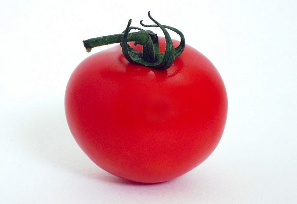 Բանջարաբոստանային կուլտուրաների ներկրումը Թուրքիայից լուրջ վնաս է հասցնում հայ գյուղացիներին. փորձագետ