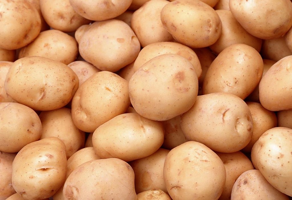 Հայաստանում 2013թ.-ին կարտոֆիլի պակաս չի սպասվում, գյուղնախարարություն